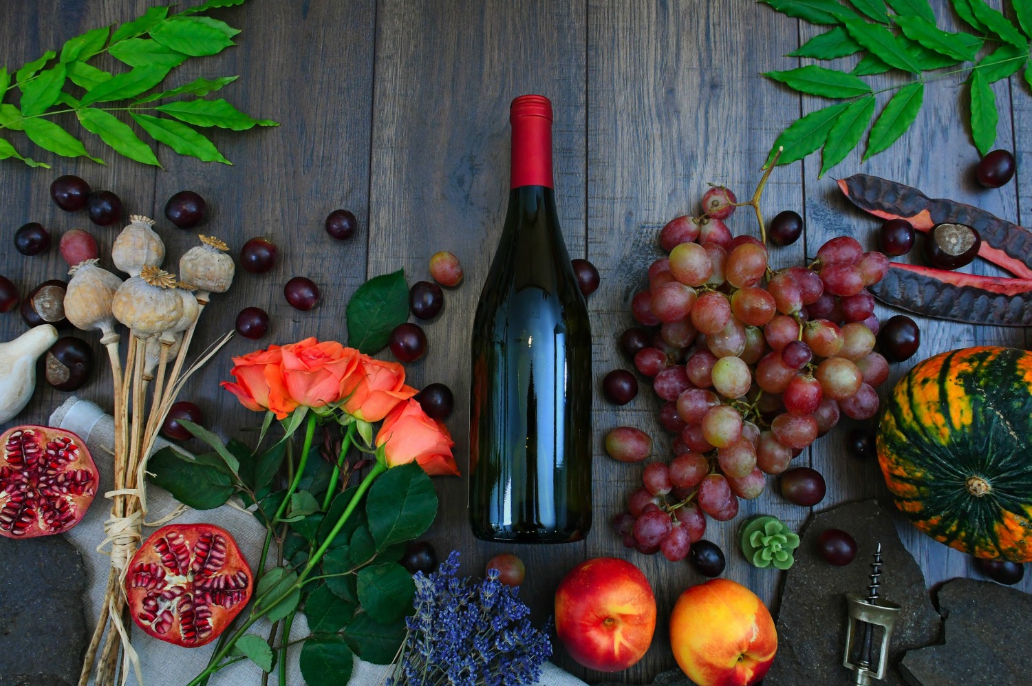 Fun Facts About the Most Popular Wine Varieties