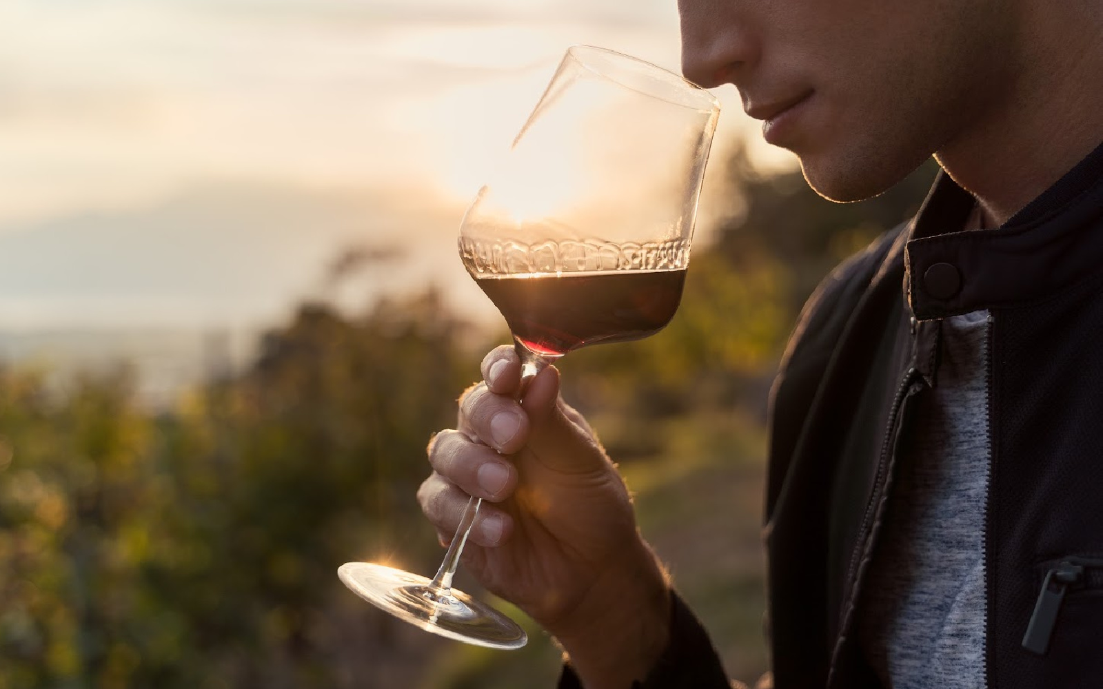 Does Wine Expire or Go Bad?