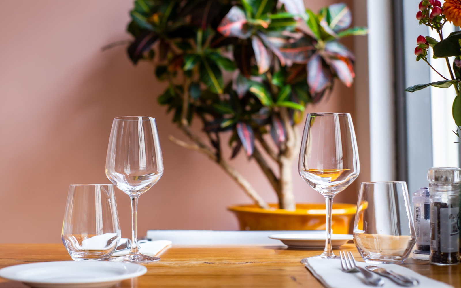 8 Best Mother's Day Gift Ideas for Wine Lovers