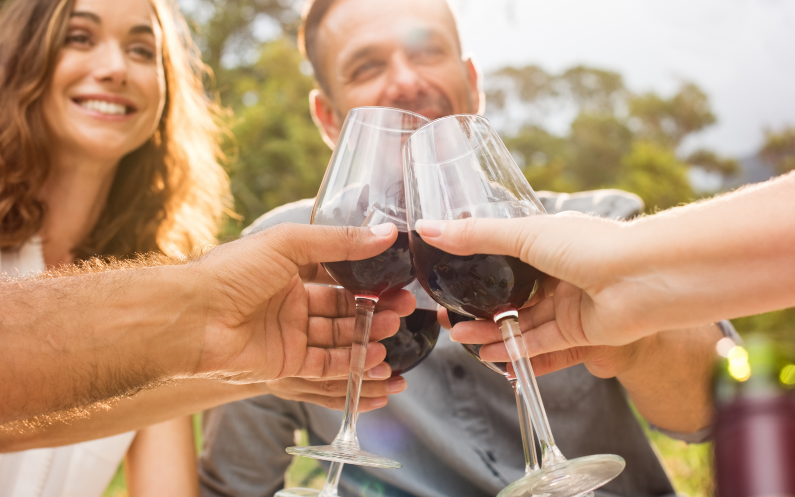 10 Most Asked Wine Questions Answered