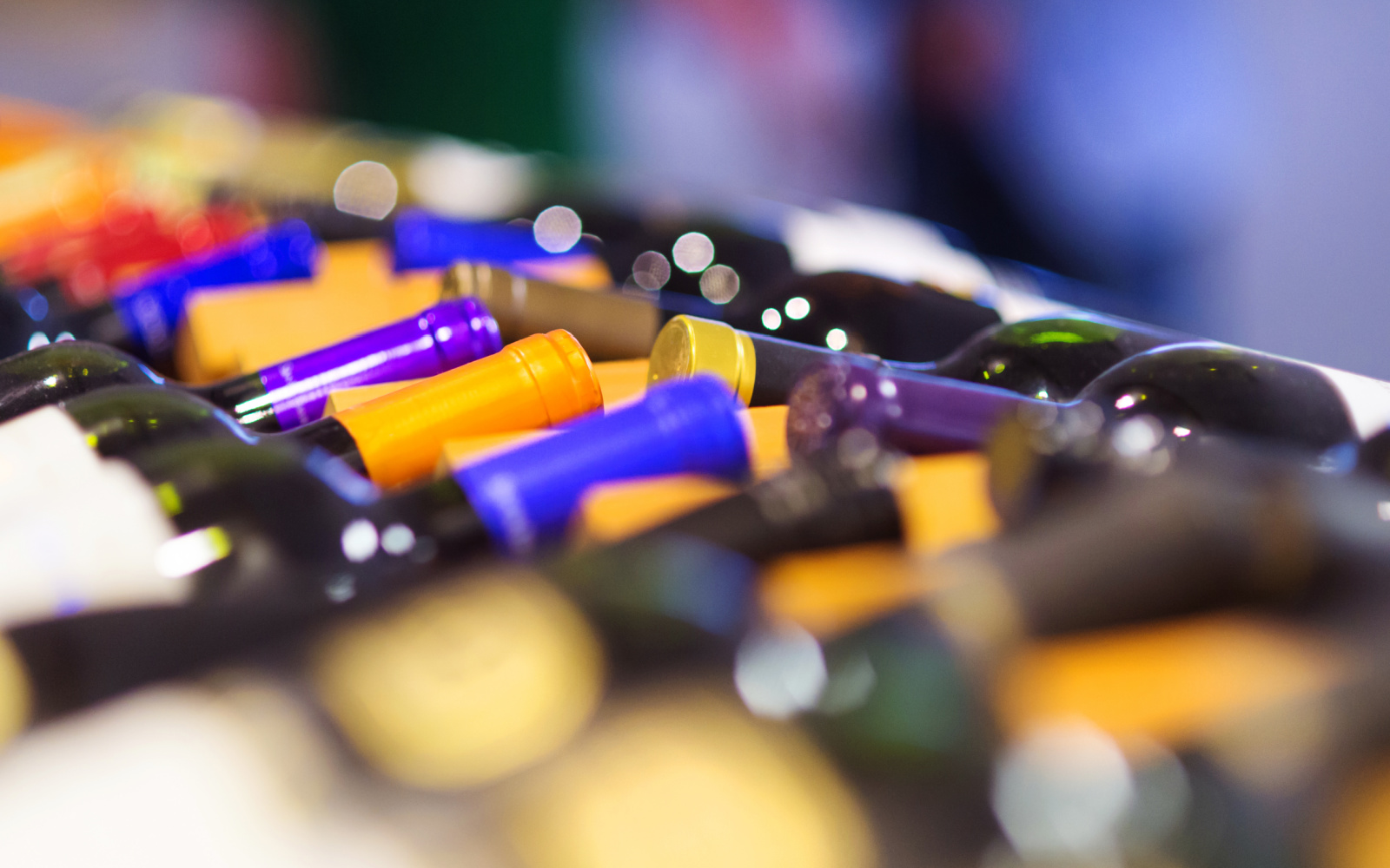 10 Best Budget-Friendly Wine Fridges and Coolers