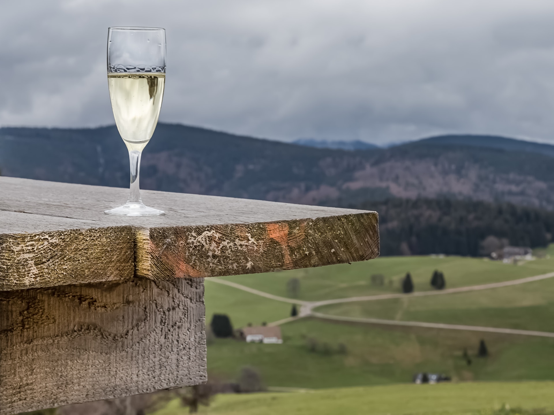 All About Arneis: Enter the World of this Charming Grape