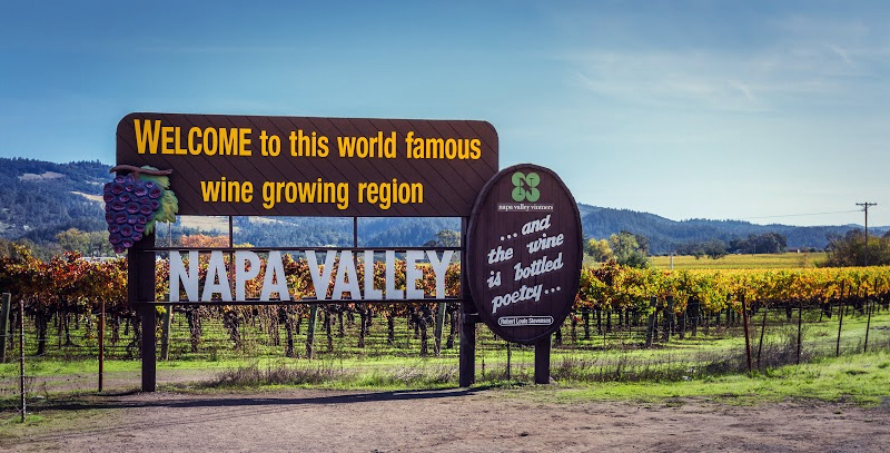 New world wine vs old world wine