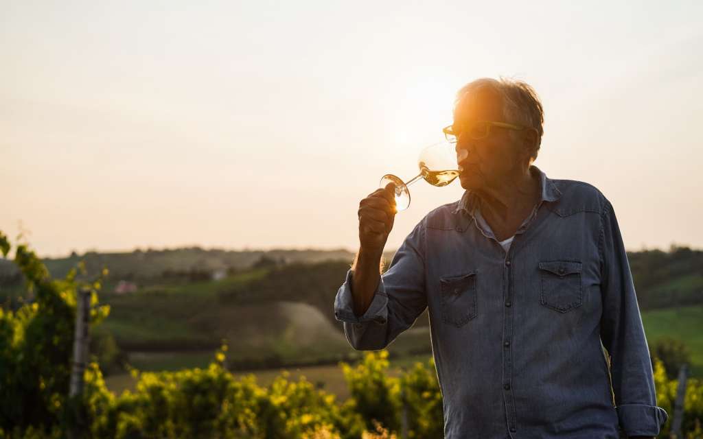 wines-from-france