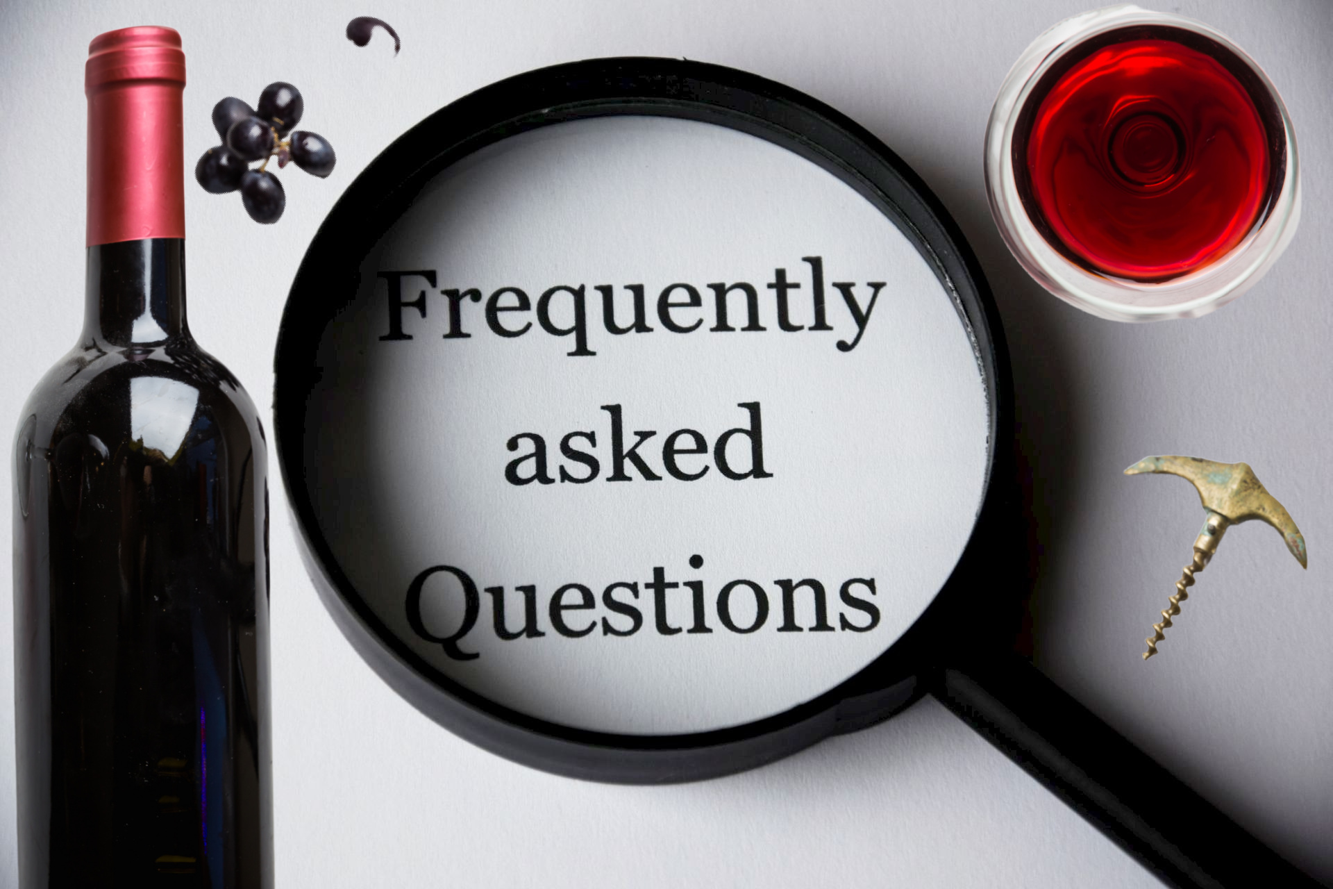 Top 15 Most Asked Questions About Wine - Answered