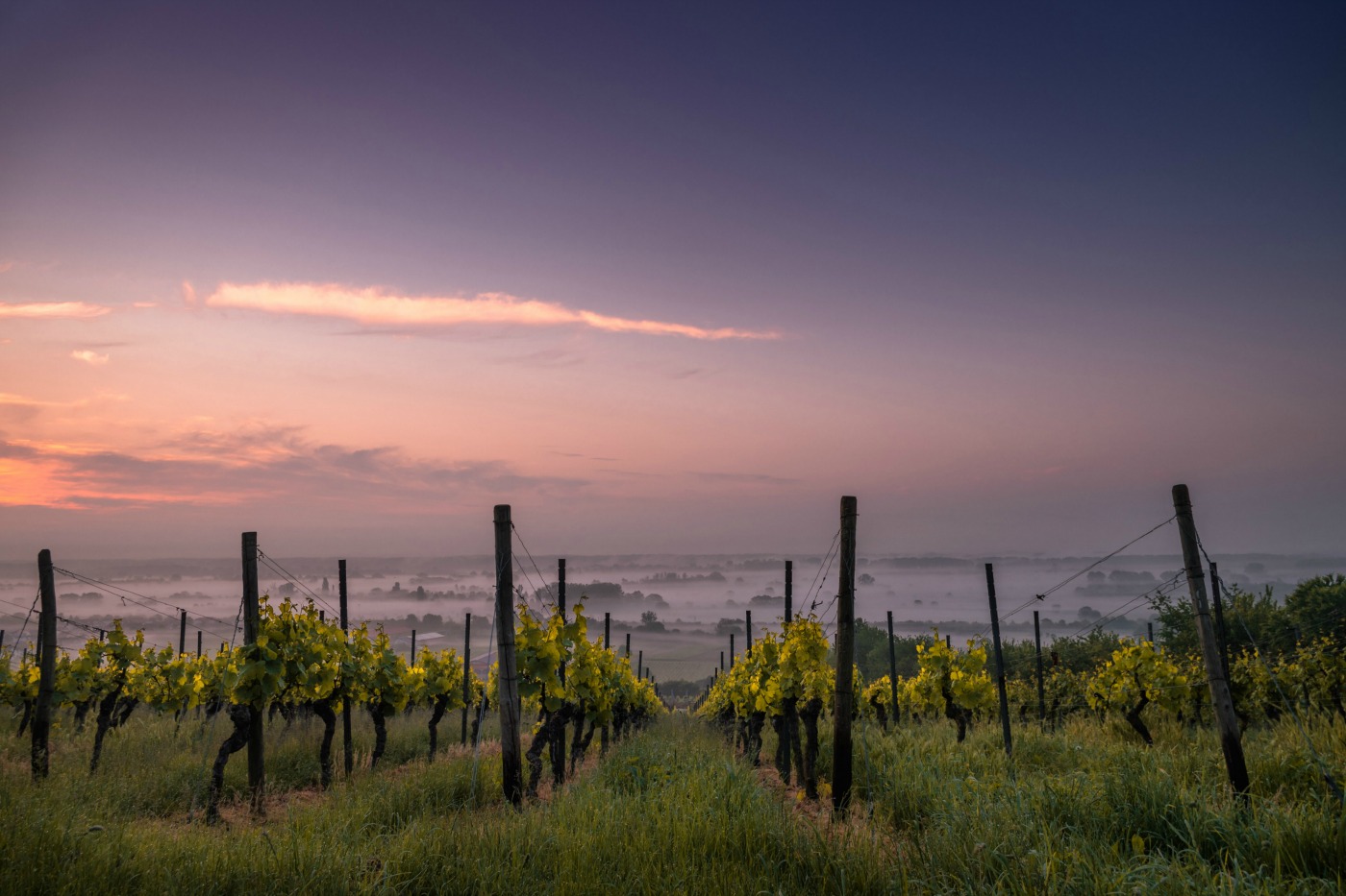 Tracking the California Wildfires in Wine Country