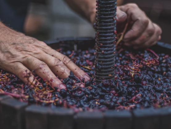 winemaking