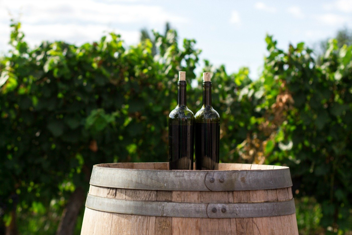 To Store Wine Properly You Need to Know This!