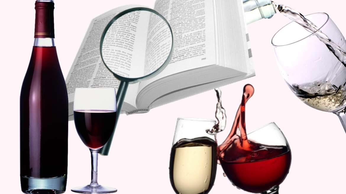 Useful Wine Terms and Wine Tasting Words You Need to Learn