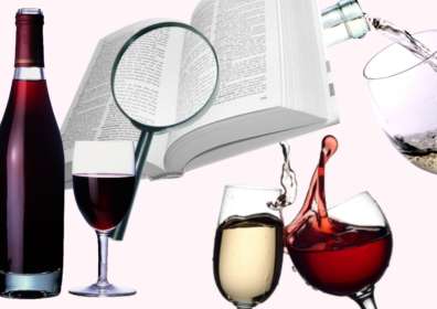 Useful Wine Terms and Wine Tasting Words You Need to Learn