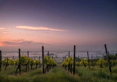 Tracking the California Wildfires in Wine Country