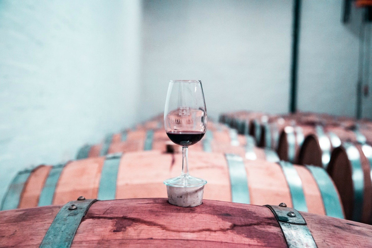 Scientist Confirms that Drinking Wine Makes You Smarter