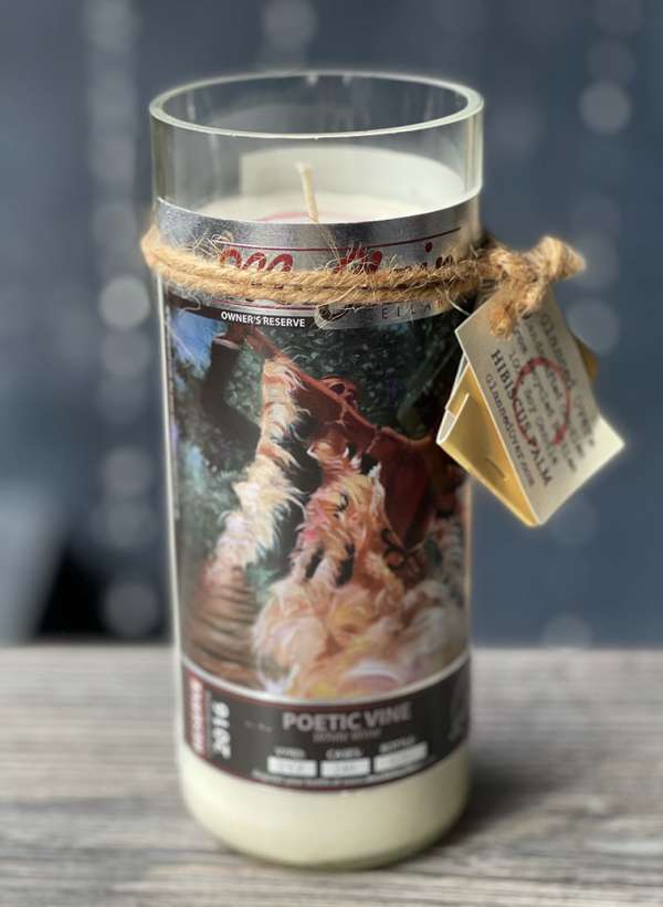 Poetic Vine Candle: Hibiscus Palm