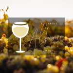 facts about albarino wine