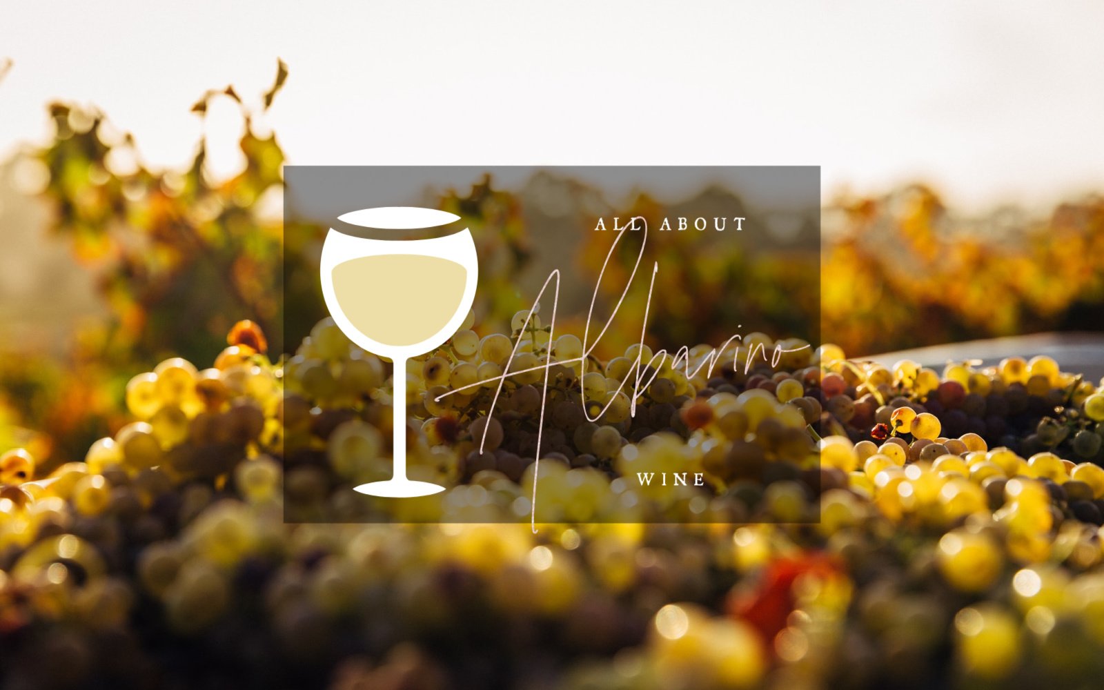 All About Albarino Wine