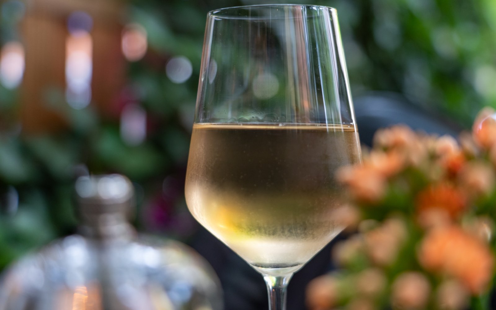 11 Most Asked Questions About Chardonnay Answered