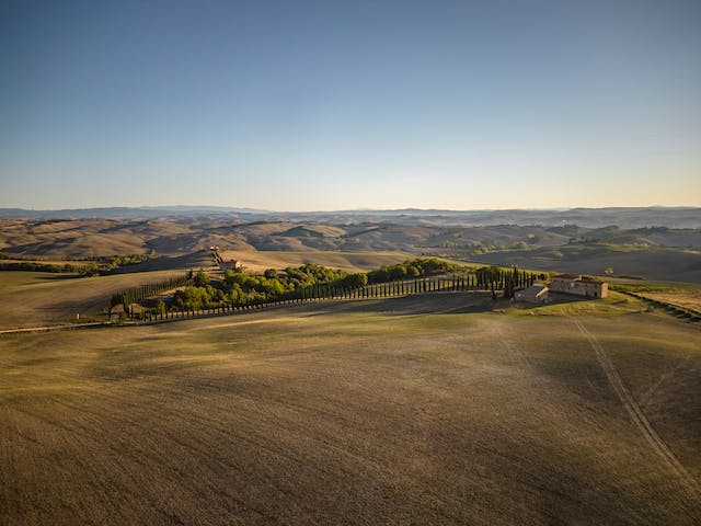 popular wines from tuscany