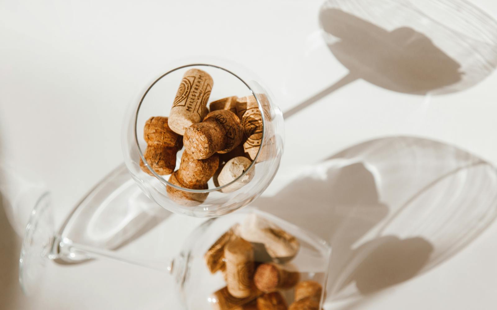Cork Taint: The Wine Lovers Guide to TCA