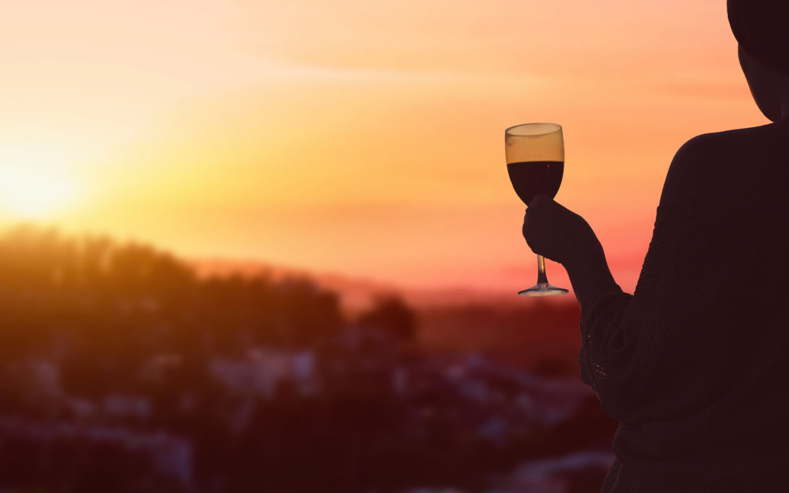 All About GSM Wine: History, Flavor, Pairings