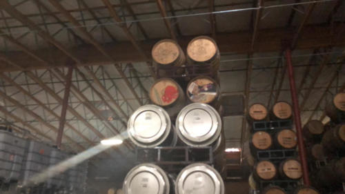 ZY-Photo-2018-08-09-00000140 2